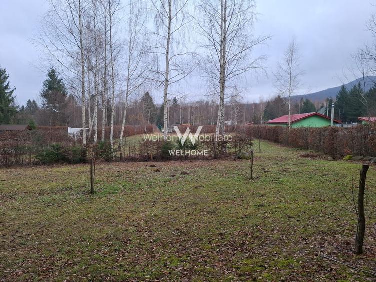 Teren deosebit pozitionat, cu livada, langa padure,  pe Valea Avrigului - 10