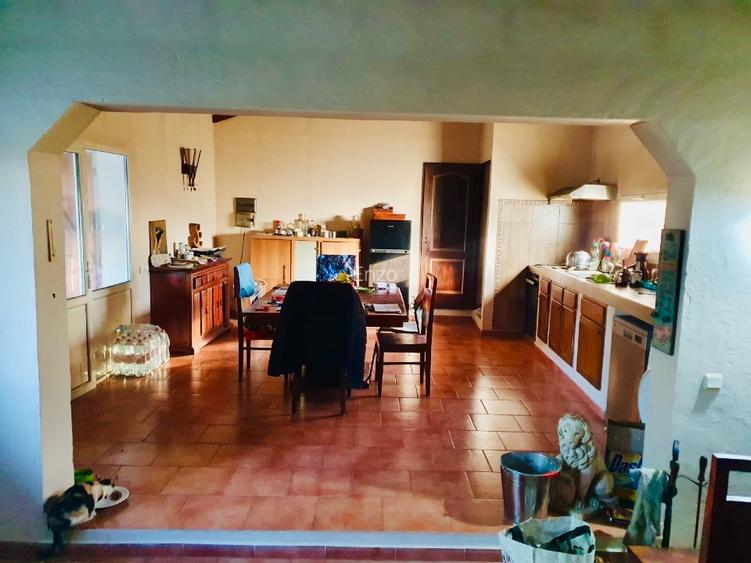 Casa 220 mp afacere buna 3 km autostrada fundulea  - 4