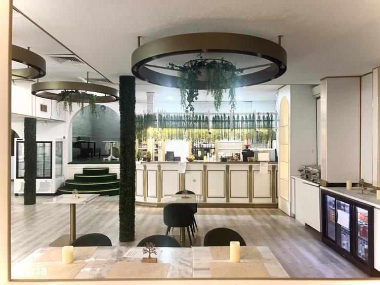 Oportunitate zona Kiseleff - 3