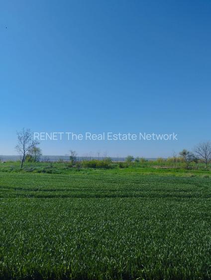 Vand teren intravilan 4000MP cu  dechidere la Delta Neajlovului, Comana GR - 8