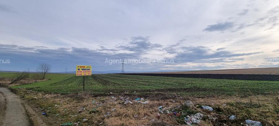 Teren Zaicesti la strada Botosani-Iasi - 4