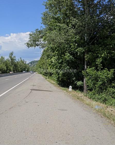Cornu, Prahova, teren intravilan. 5.012mp, cu deschidere la DN1 38ml - 6
