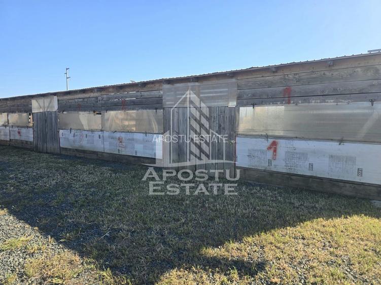 Fermă cu casa, zero comision, in Horia - 9