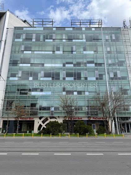 Cascade Offices – Birouri de inchiriat Piata Victoriei, Buzesti - 2
