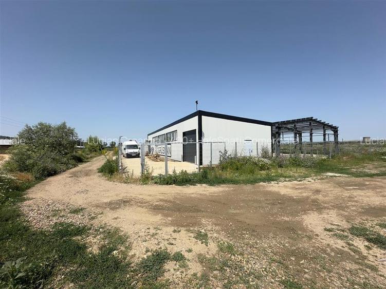 Hale de vanzare/ inchiriere Tomesti - Fiterman, de la 222mp la 573mp - 3