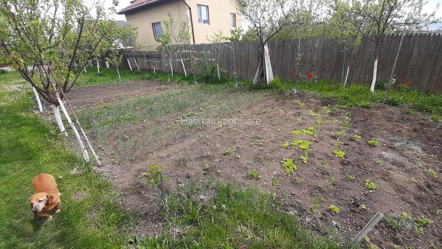 Casa moderna, foarte spatioasa, cu  1500 mp teren, în  Dambul Rotund - 26