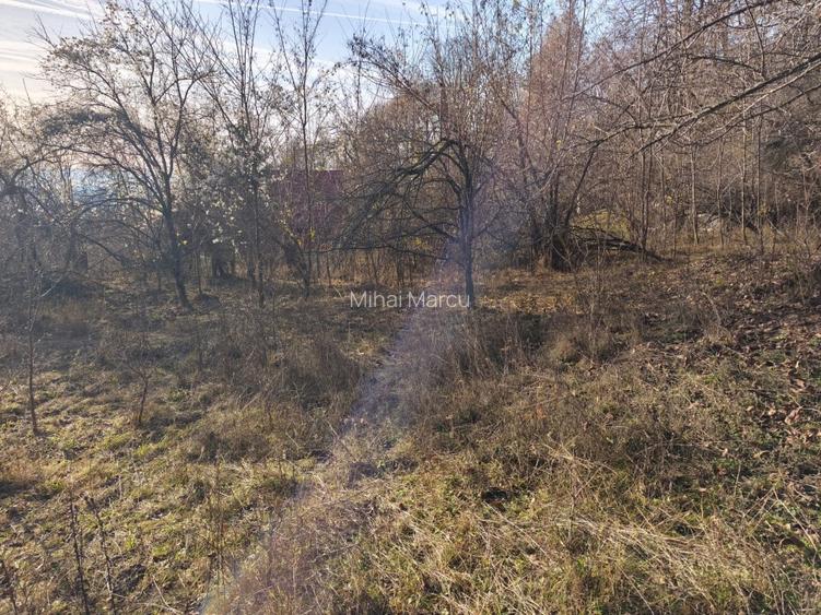 Teren intravilan Breaza 4,000mp utilitati. Panorama superba. Parcelabil - 13