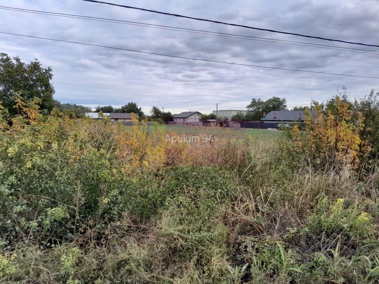 VANZARE TEREN 2000 MP  (52 ML DESCHIDERE LA E85 ) -  COSERENI( il ) - 7