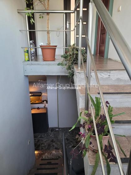 Vanzare proprietate cu 2 case Zurbaua- Dragomiresti Vale - 18