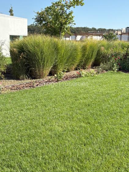 Casa Ark &acirc; 5 camere, moderna, Dumbrava Vlasiei - 6