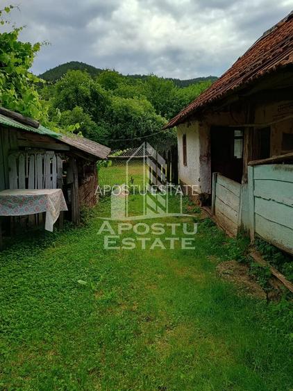 Casa batraneasca de vanzare, 4 camere, in Hunedoara, sat Micanesti - 32