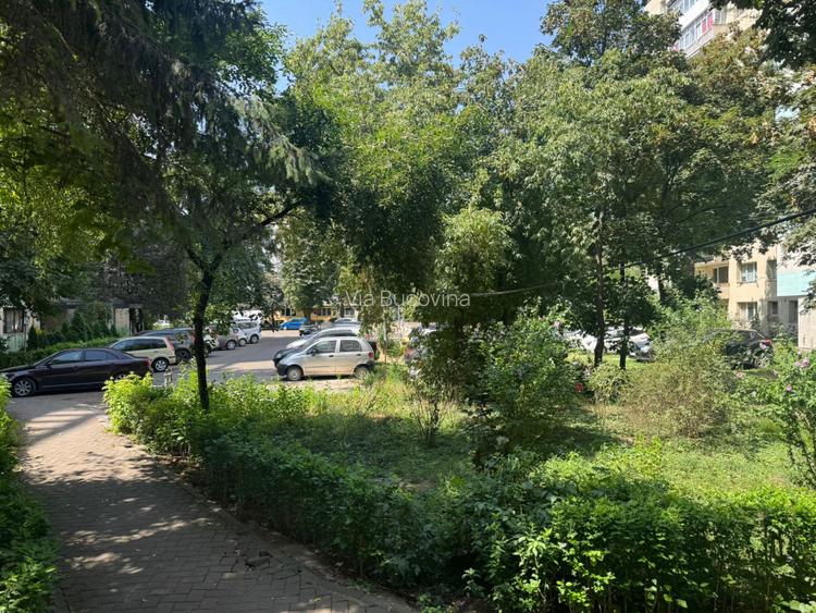 Vanzare apartament 2 camere decomandat Cornisa Bistritei - stare foarte buna - 12