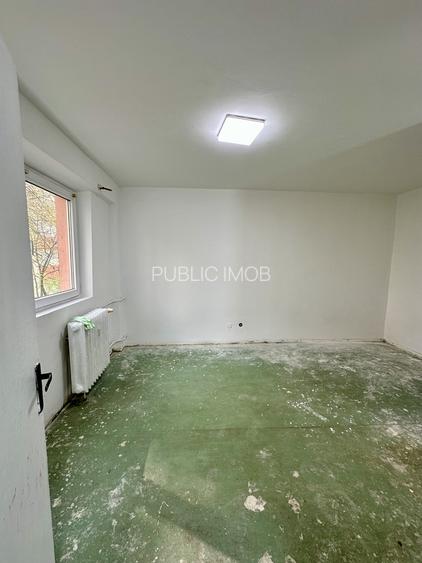 Lacul Tei, langa Facultatea de Constructii - 3