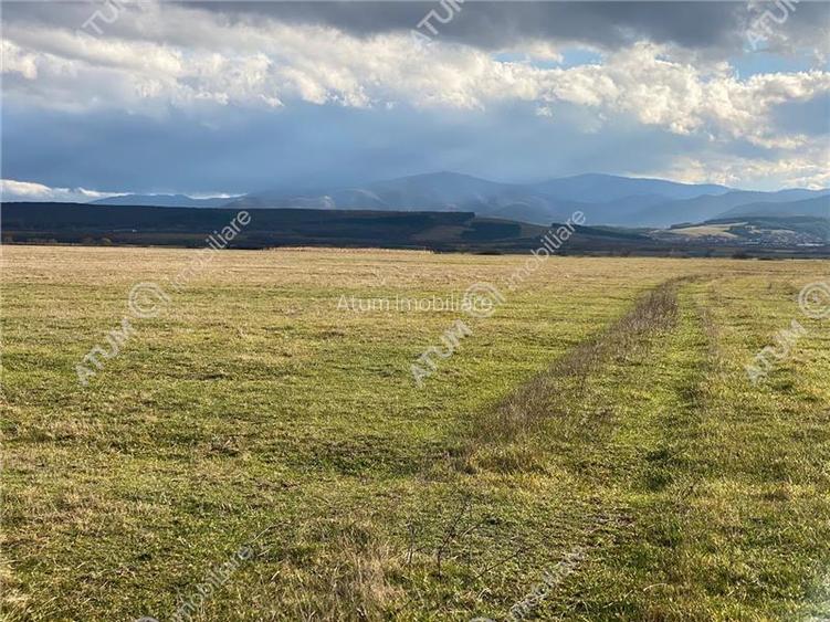 Teren de vanzare 620 mp in Sibiu pretabil investitie - 3