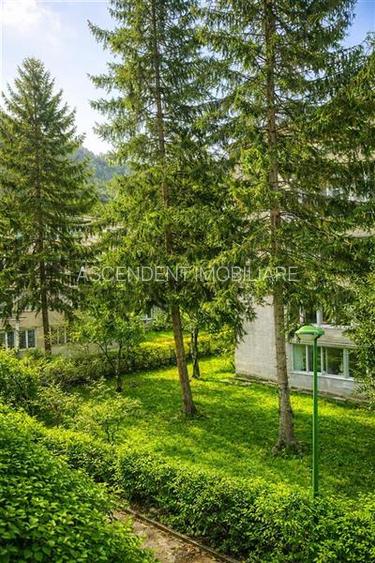 Apartament 2 camere,luminos,incadrat de liniste si verdele naturii,Ultracentral, - 4