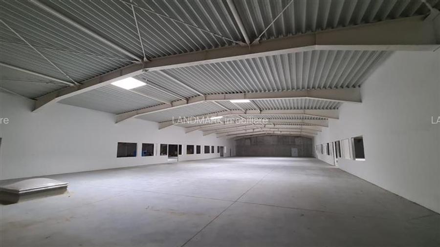 Hala productie de vanzare Timisoara - Exterior Nord - 7