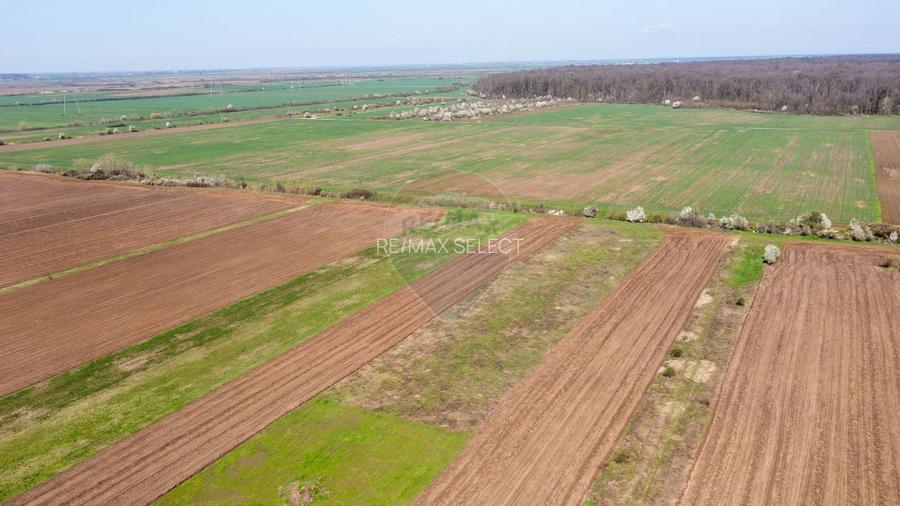 Vanzare teren intravilan 500 mp Sabareni /  Strada Orhideelor - 9