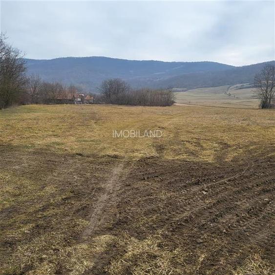 Teren pentru 2 case în Mera - 2