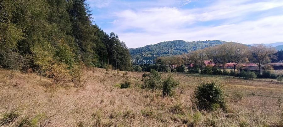 teren in zona Bradet-Sacele - 6