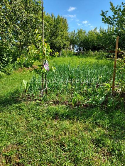 Teren 1.195 mp zona Faget - 5