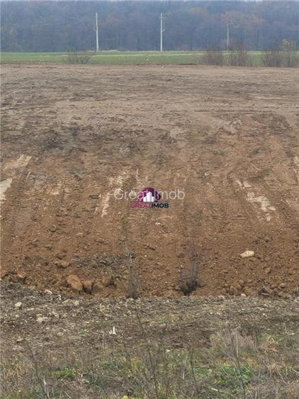 Teren 55.500 mp Snagov Lac - 3