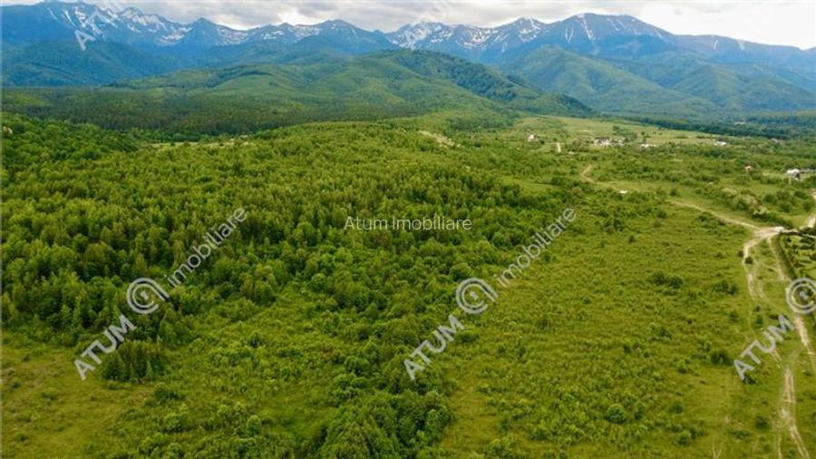 Teren extravilan 2000 mp in Porumbacu de Sus din Sibiu - 4