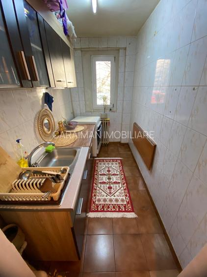 Lacul Tei x Teiul Doamnei, langa Facultatea de Constructii si Parcul Tei - 5