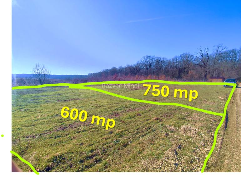 2x Intravilane la marginea Pădurii, zonă Superbă și Liniștită, sat Cultural - 5
