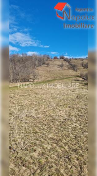 Teren de exceptie 3,1 ha intravilan | Panorama, utilitati, acces dublu | Sard - 3