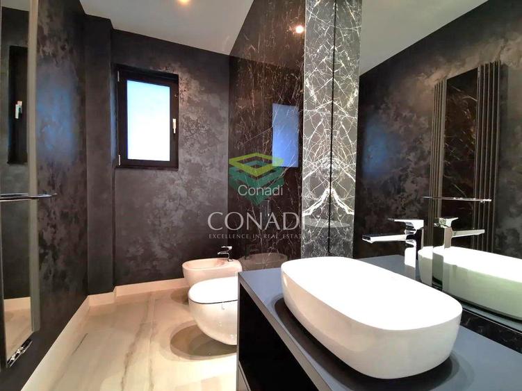 Baneasa- Iancu Nicolae, vila de inchiriat, 460 mp utili - 8