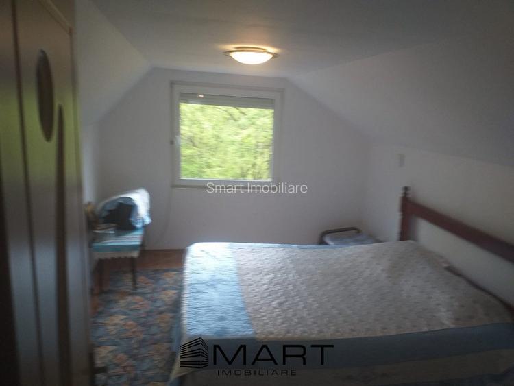 Teren extravilan 7432 mp, cu cabana de lemn Capalna AB - 4