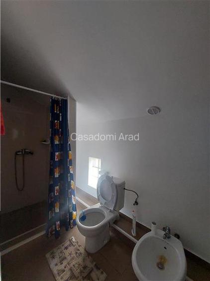 Imobil pentru pensiune sau alte activitati in Pischia - 18