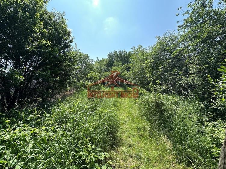 Apartament 2 camere la casa zona Turnisor din Sibiu - 11