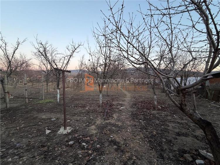 Casa tip parter zona Cernatesti - 18