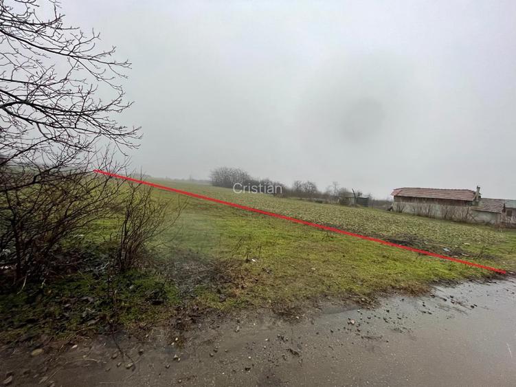 Teren intravilan + extravilan - 4