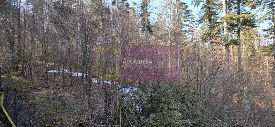 Apartamnet cu 2 camere de vanzare in Sinaia - 21