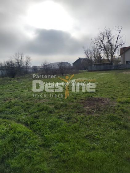 TEREN DE VANZARE DOMNESTI, 600 mp - 3