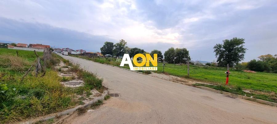 Oportunitate de investitie, posibilitate parcelare, 12.000 MP, Sebes - 3