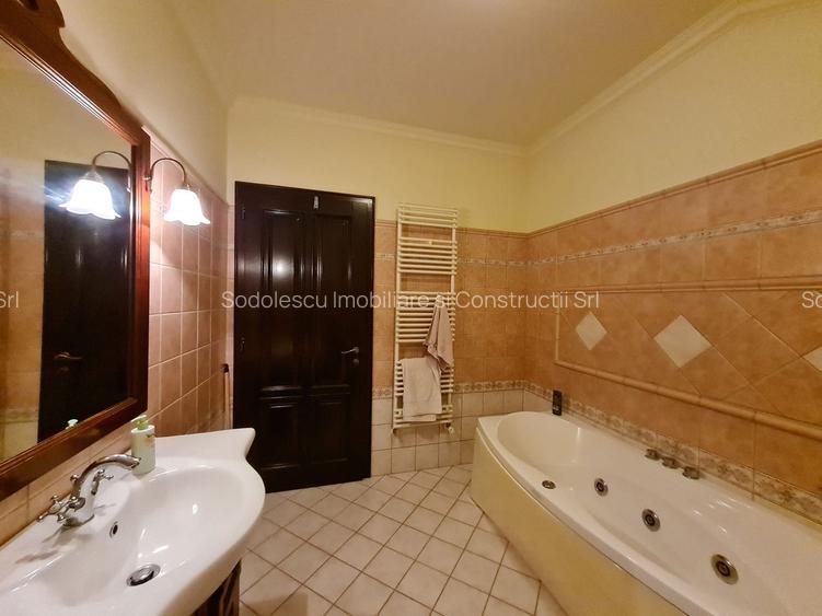 Poziție de top în Dumbravita - 19