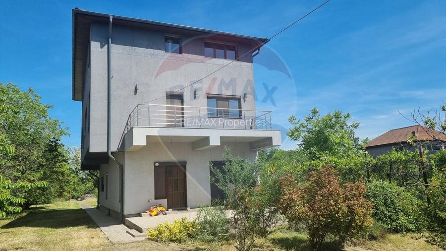 Casă / Vilă cu 5 camere de vânzare Alexandriei/Ion Conea - 12