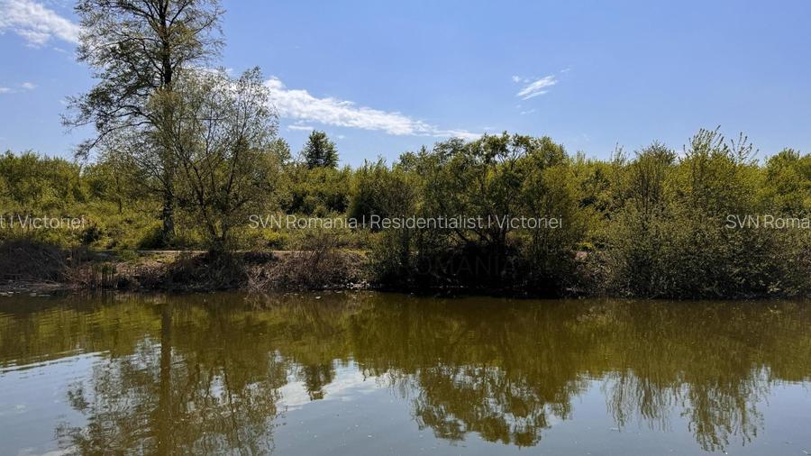 REL4001152 Teren Intravilan 10.000 mp Silistea Snagovului de Vanzare - 2