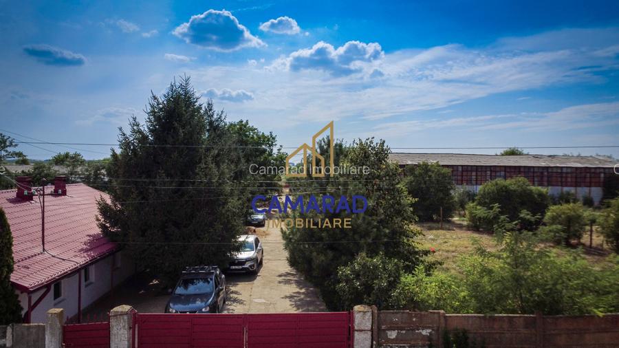 Teren 9000 mp intravilan-casa-hala in Fundeni-Calarasi ideal investitie - 3