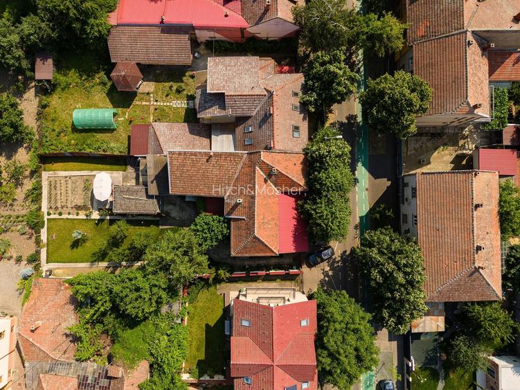 Locul în care ai vrea să fii acasă – Elisabetin - 37