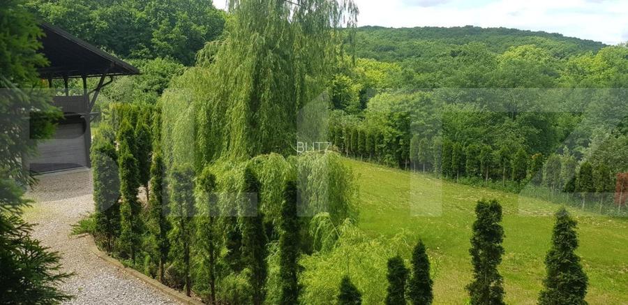 Investitie ! Casa de vacanta 350 mp utili ,teren 3000 mp in Faget ! - 9