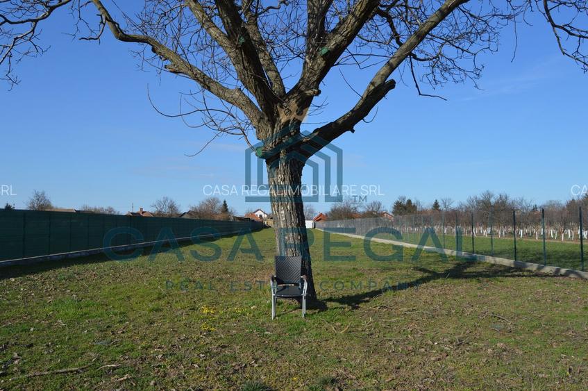 Teren 3500 mp împrejmuit, central, Biharia, lângă Profi, utilități - 6