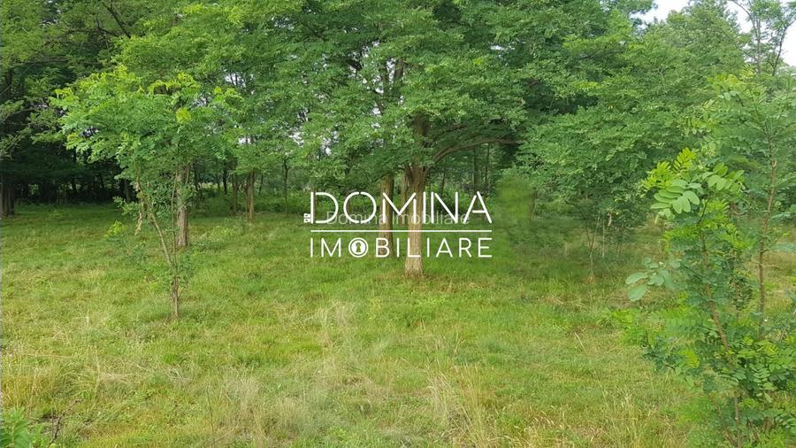 Vanzare teren intravilan 6843 mp, aproape de Manastirea Polovragi - 2