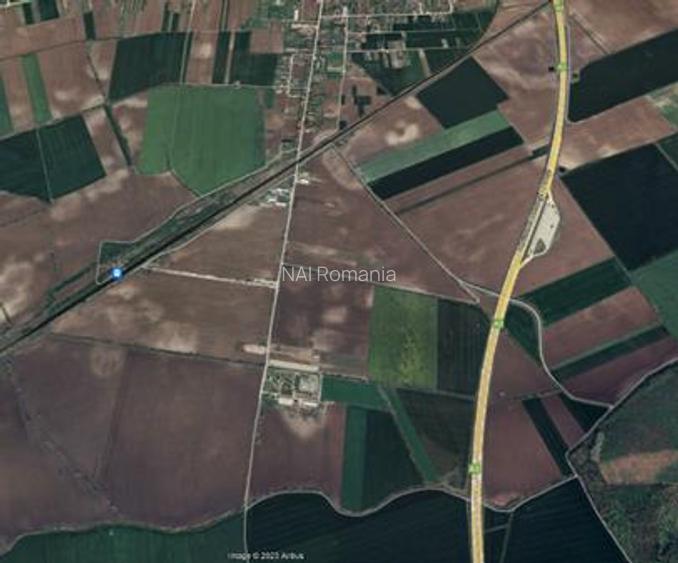Vanzare Teren Linia Teiului, Moara Vlasiei - 2