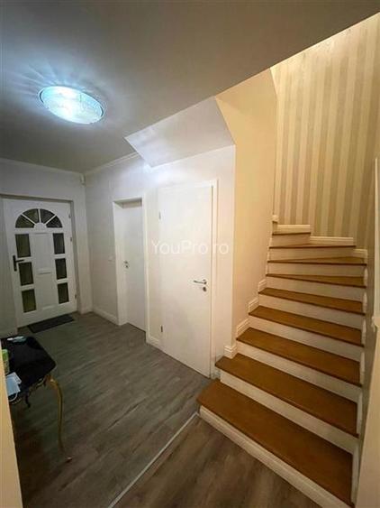 Vila Deosebita Dumbravita - 2