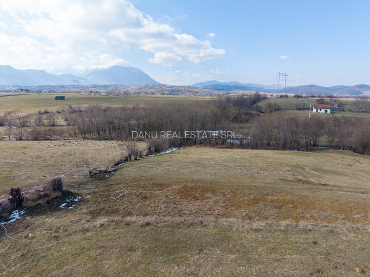 Comision0%Teren intravilan 5783mp Bran Sohodol, vedere Piatra Craiului - 14