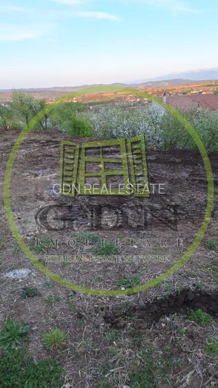 Teren intravilan - 1000 mp - Daia Noua - 2